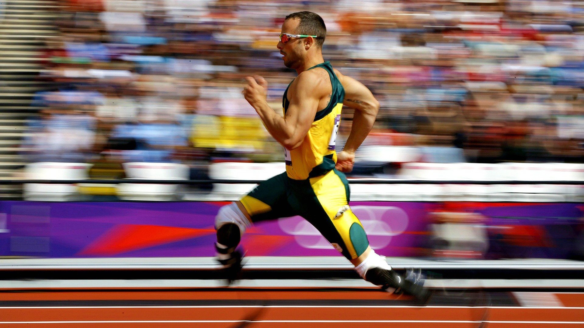 体育新闻中心发布高校体育特招资格评定细则，体育特招能减多少分